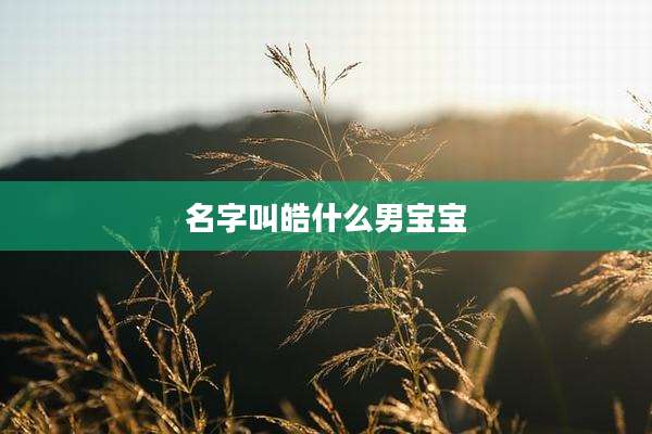 名字叫皓什么男宝宝