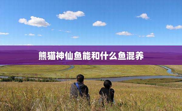 熊猫神仙鱼能和什么鱼混养
