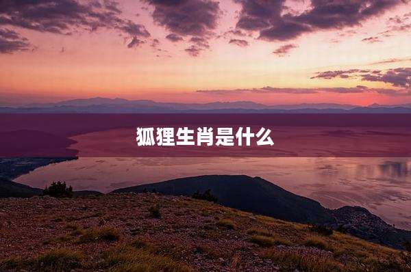 狐狸生肖是什么