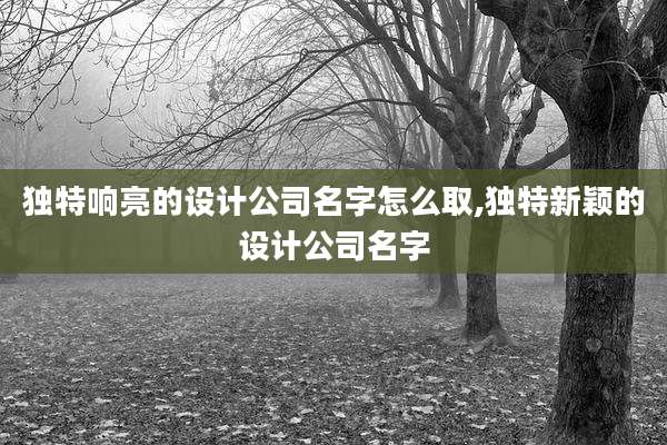 独特响亮的设计公司名字怎么取,独特新颖的设计公司名字