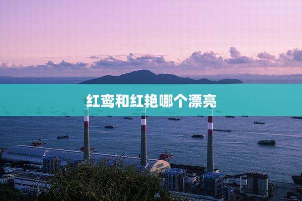 红鸾和红艳哪个漂亮