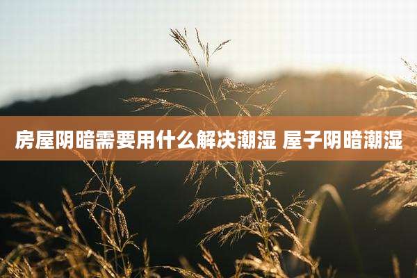 房屋阴暗需要用什么解决潮湿 屋子阴暗潮湿