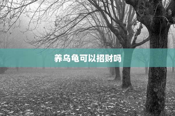 养乌龟可以招财吗