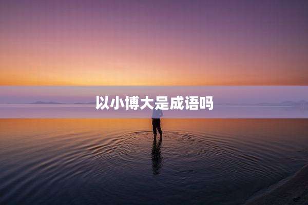 以小博大是成语吗