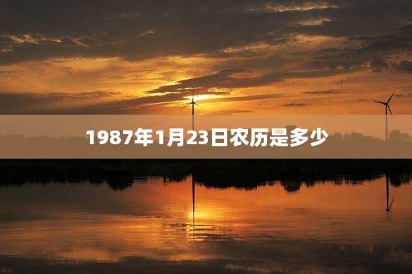 1987年1月23日农历是多少