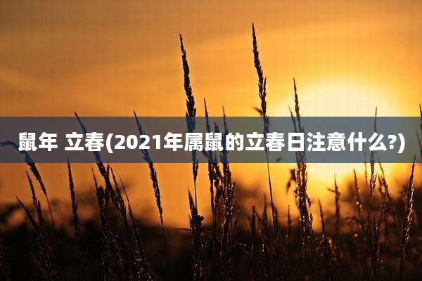 鼠年 立春(2021年属鼠的立春日注意什么?)