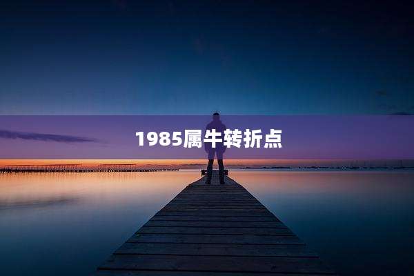 1985属牛转折点