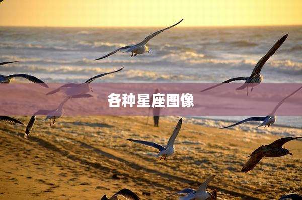 各种星座图像