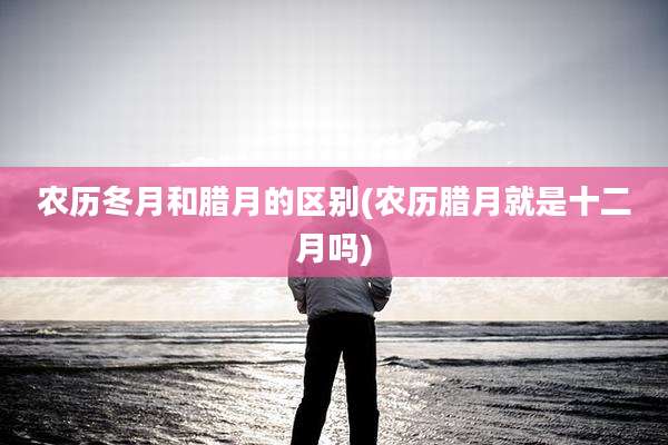 农历冬月和腊月的区别(农历腊月就是十二月吗)