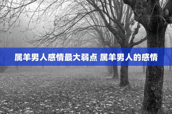 属羊男人感情最大弱点 属羊男人的感情