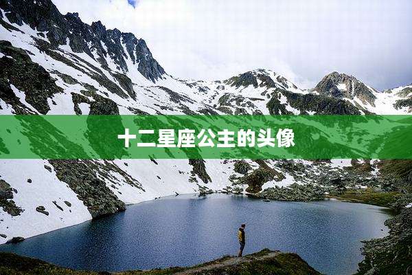 十二星座公主的头像