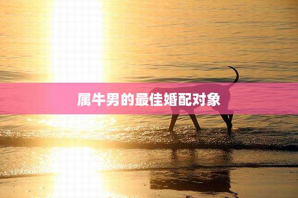属牛男的最佳婚配对象