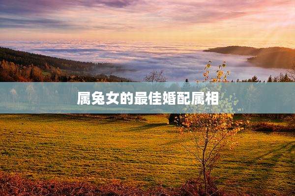 属兔女的最佳婚配属相
