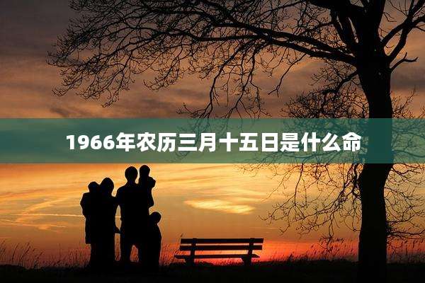 1966年农历三月十五日是什么命