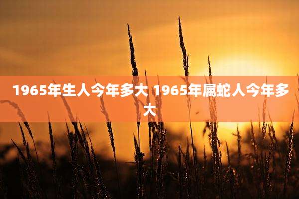 1965年生人今年多大 1965年属蛇人今年多大