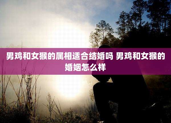 男鸡和女猴的属相适合结婚吗 男鸡和女猴的婚姻怎么样