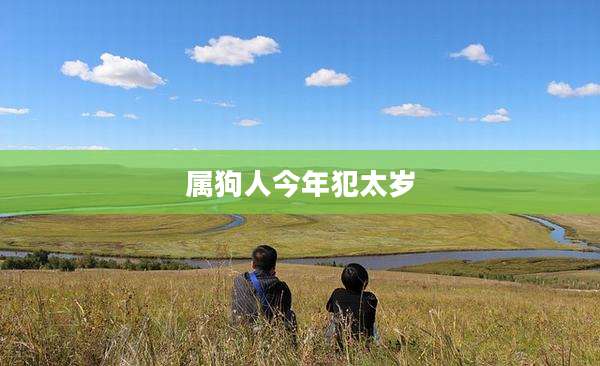 属狗人今年犯太岁