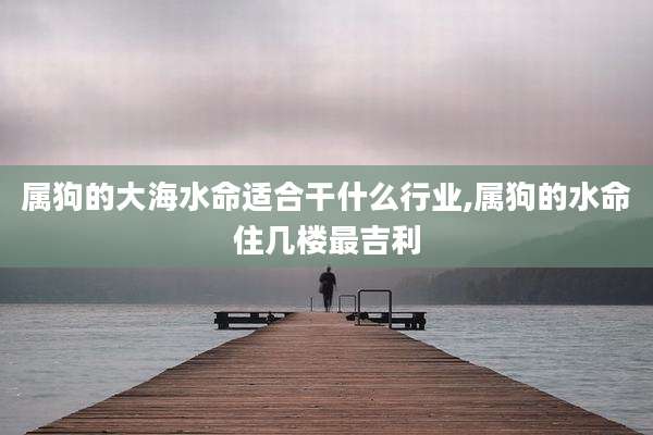 属狗的大海水命适合干什么行业,属狗的水命住几楼最吉利