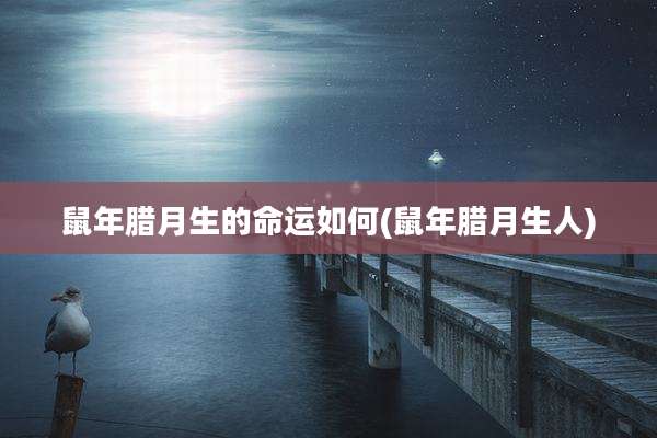 鼠年腊月生的命运如何(鼠年腊月生人)