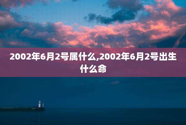 2002年6月2号属什么,2002年6月2号出生什么命