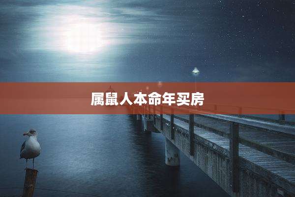 属鼠人本命年买房