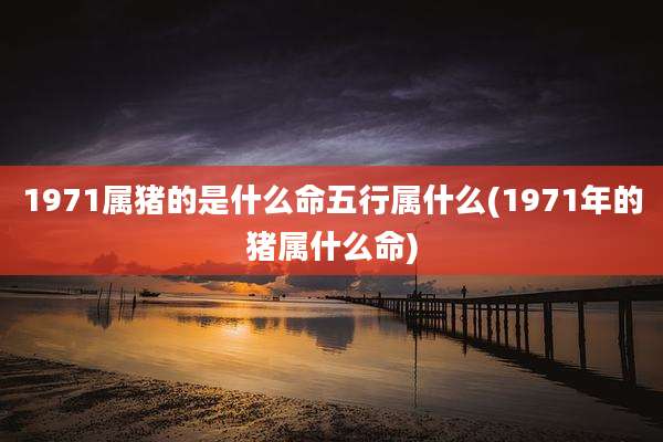 1971属猪的是什么命五行属什么(1971年的猪属什么命)