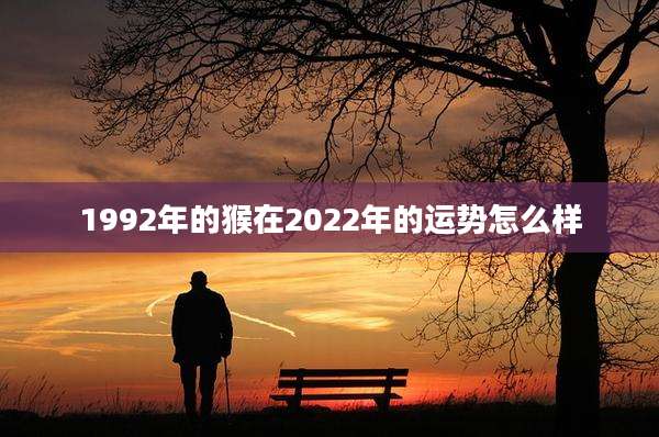 1992年的猴在2022年的运势怎么样