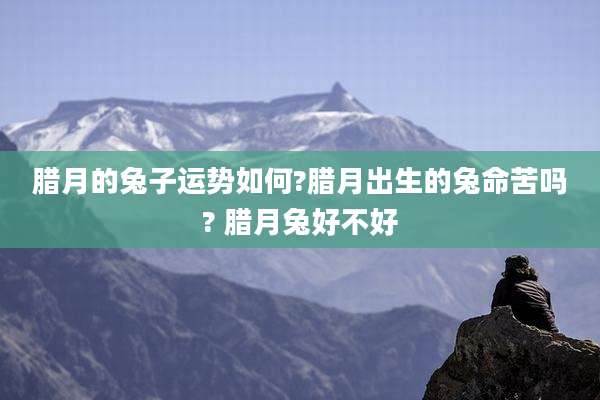 腊月的兔子运势如何?腊月出生的兔命苦吗? 腊月兔好不好