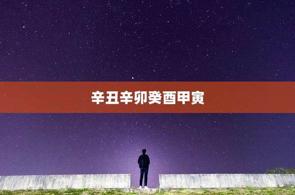 辛丑辛卯癸酉甲寅