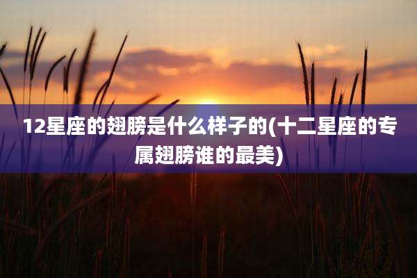 12星座的翅膀是什么样子的(十二星座的专属翅膀谁的最美)