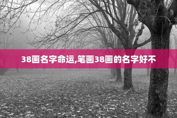 38画名字命运,笔画38画的名字好不