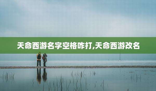 天命西游名字空格咋打,天命西游改名