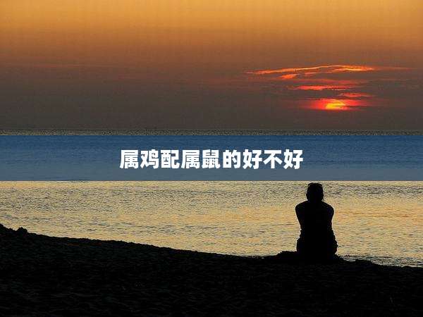 属鸡配属鼠的好不好