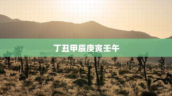丁丑甲辰庚寅壬午