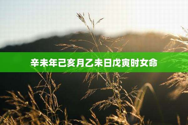 辛未年己亥月乙未日戊寅时女命