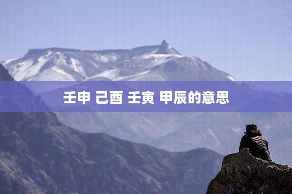 壬申 己酉 壬寅 甲辰的意思