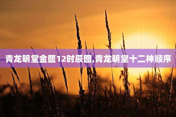 青龙明堂金匮12时辰图,青龙明堂十二神顺序
