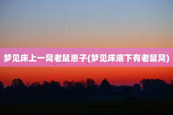 梦见床上一窝老鼠崽子(梦见床底下有老鼠窝)
