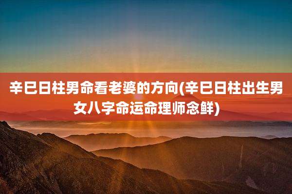 辛巳日柱男命看老婆的方向(辛巳日柱出生男女八字命运命理师念鲜)