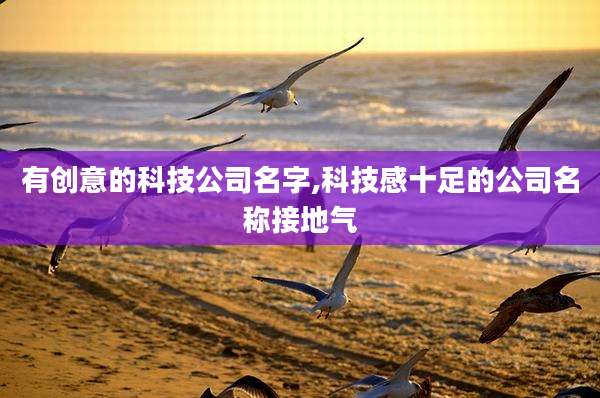 有创意的科技公司名字,科技感十足的公司名称接地气