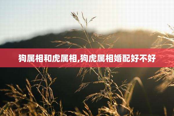狗属相和虎属相,狗虎属相婚配好不好