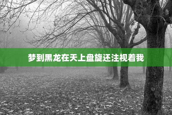 梦到黑龙在天上盘旋还注视着我