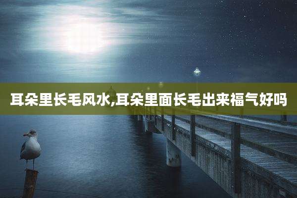 耳朵里长毛风水,耳朵里面长毛出来福气好吗