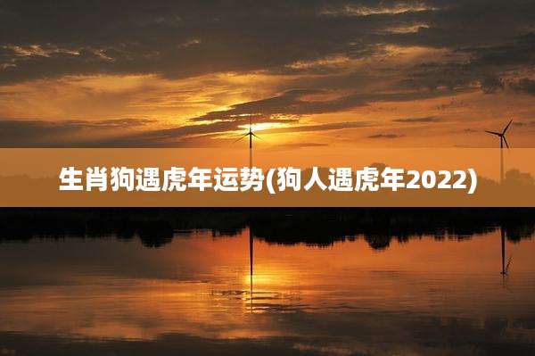 生肖狗遇虎年运势(狗人遇虎年2022)