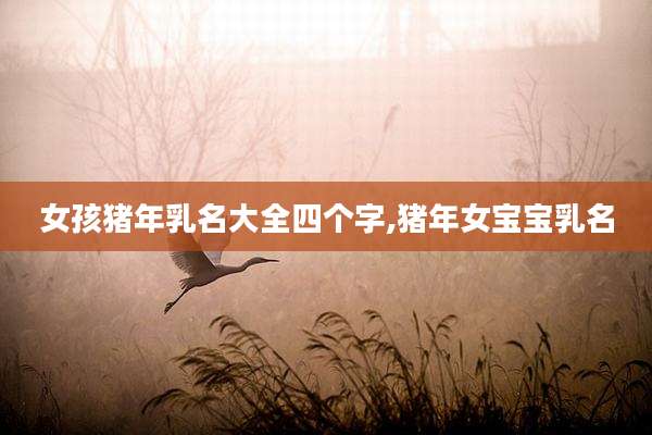 女孩猪年乳名大全四个字,猪年女宝宝乳名
