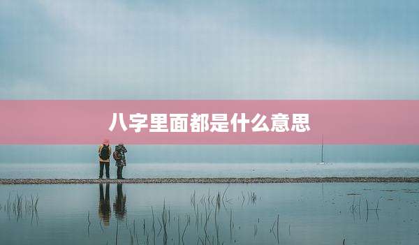 八字里面都是什么意思