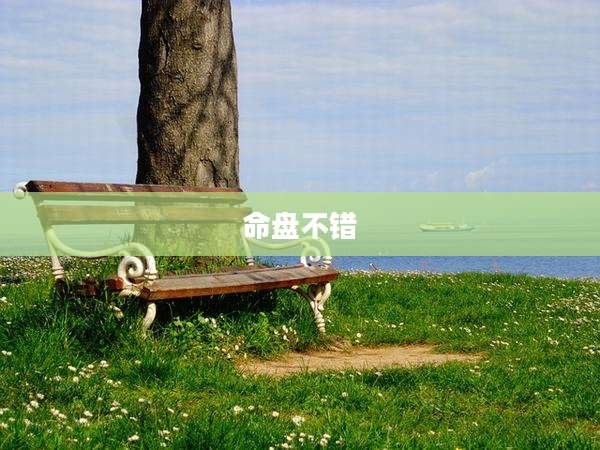 命盘不错