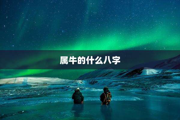 属牛的什么八字