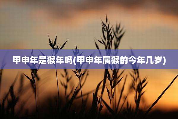 甲申年是猴年吗(甲申年属猴的今年几岁)