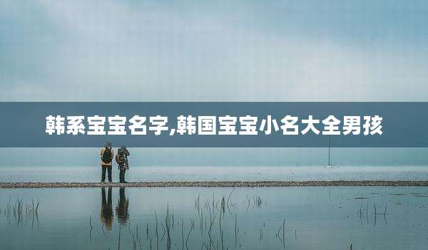 韩系宝宝名字,韩国宝宝小名大全男孩